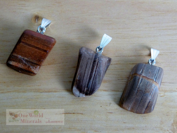 Versteinertes Holz aus Australien, mit Silberöse, 3 Stück - Unikate (Serie +/- 20)